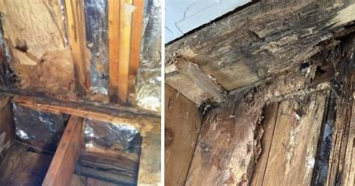 How Do You Fix Rotted Studs