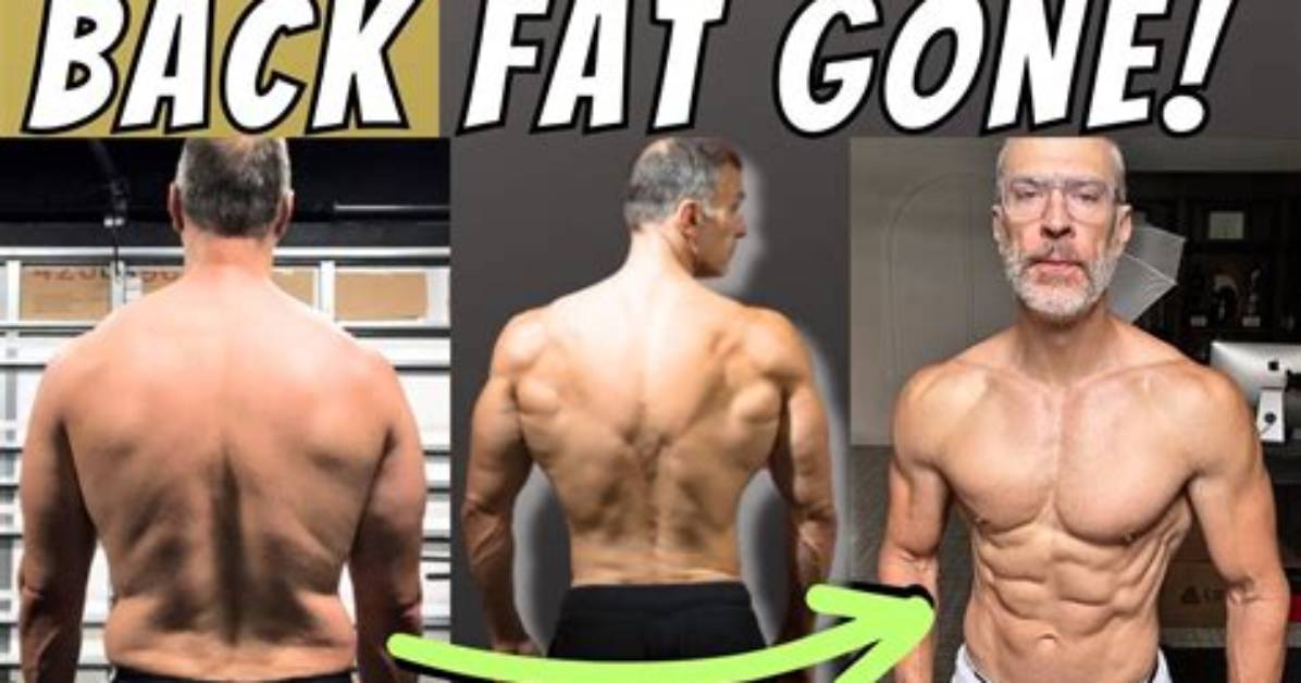 How Do You Gain Back Fat