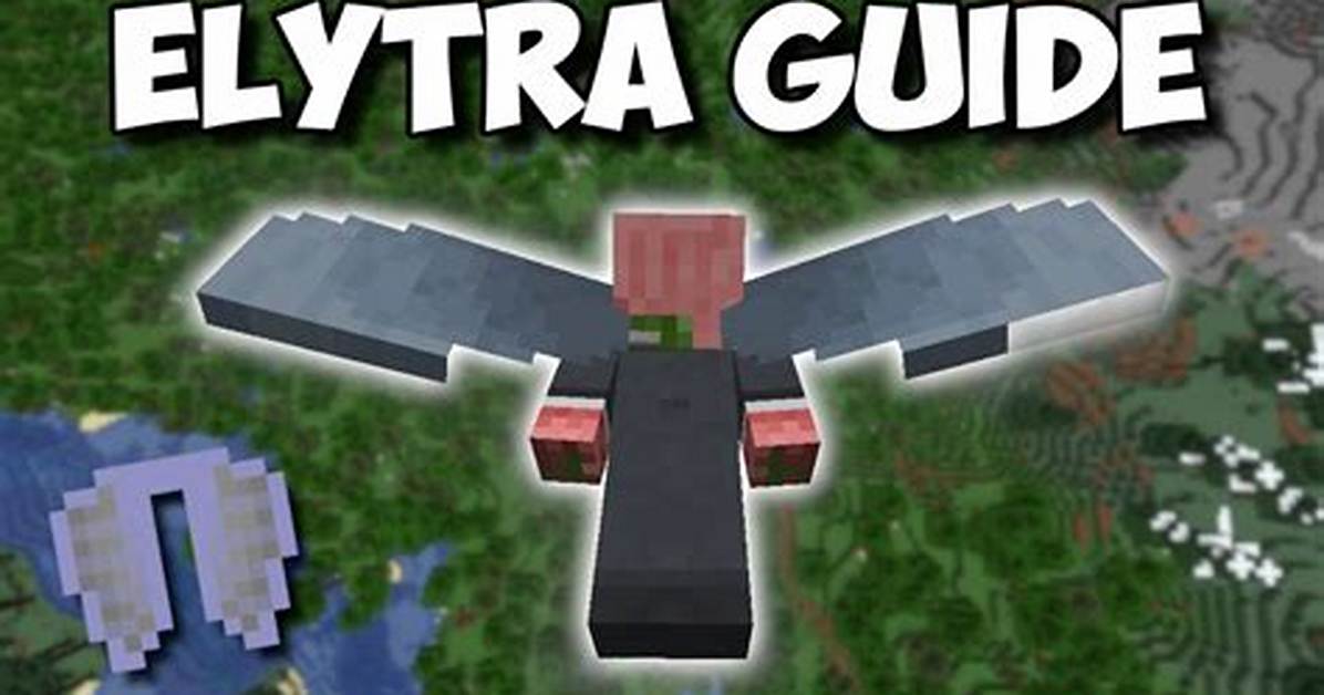 How Do You Get an Elytra in Minecraft