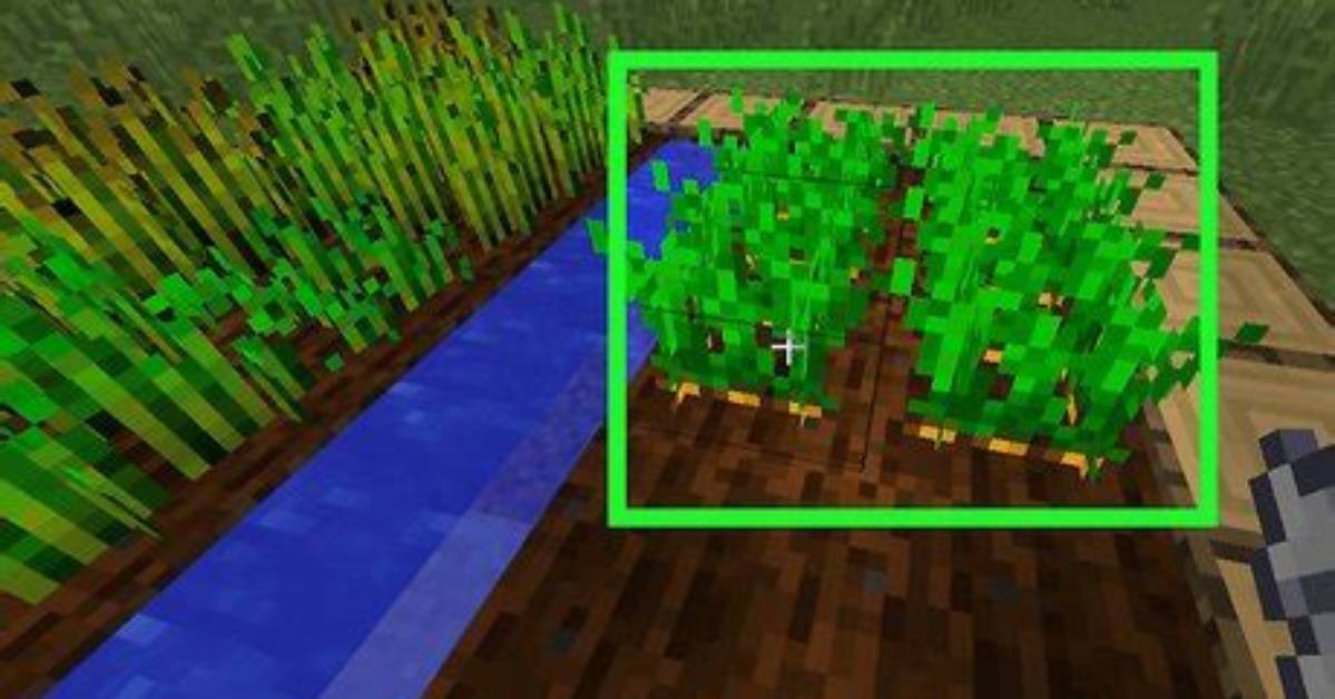 How Do You Get Carrots in Minecraft