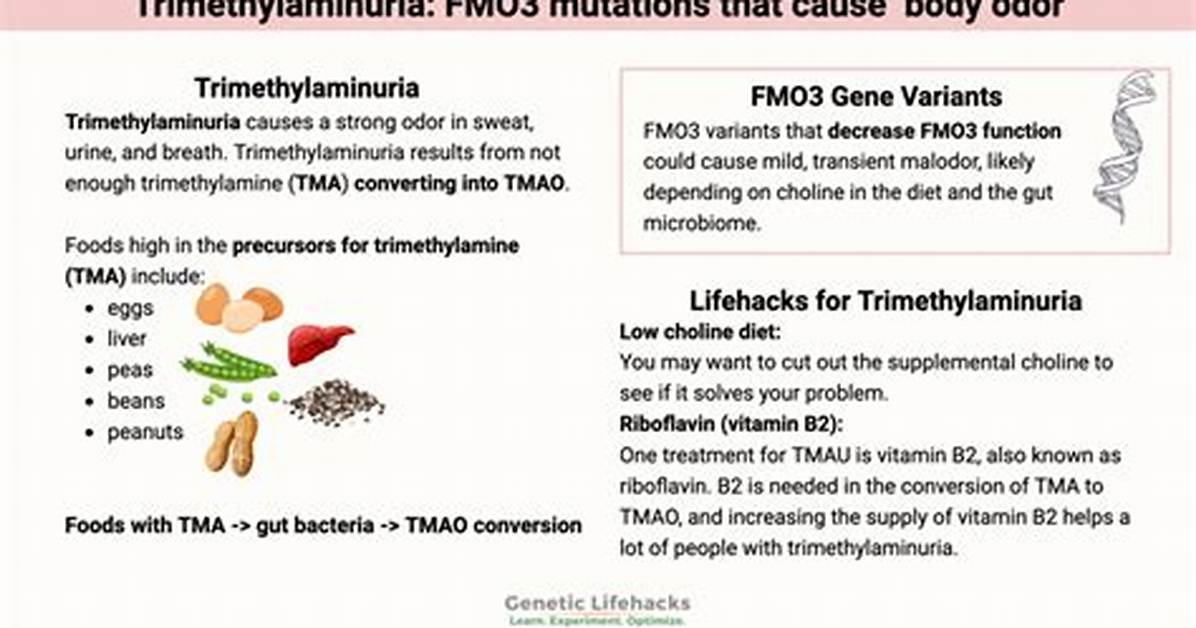 How Do You Get Tested for Tmau