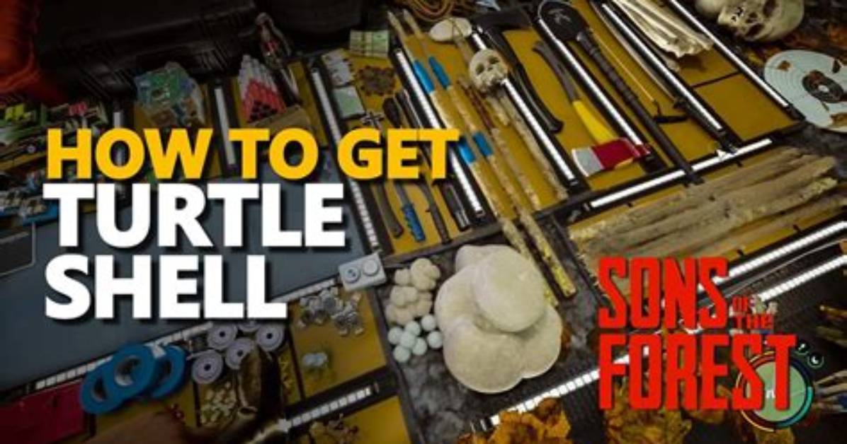 How Do You Get Turtle Shells in Minecraft
