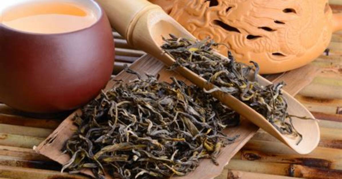 How Do You Grow Oolong Tea