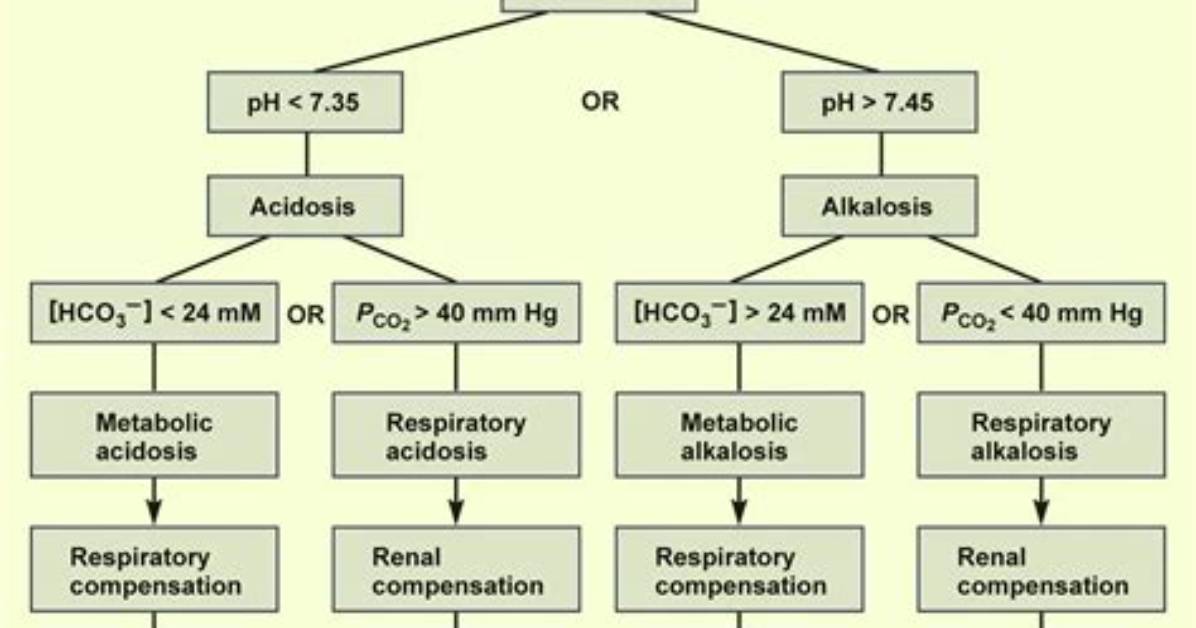How Do You Identify a Primary Acid Base Disorder