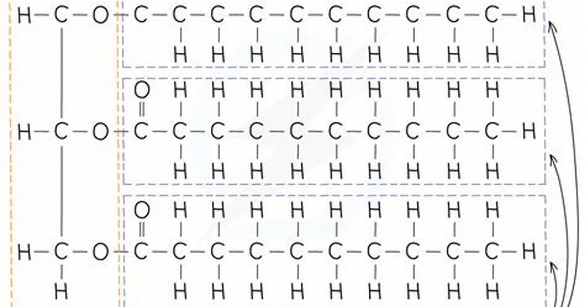How Do You Identify Triglyceride