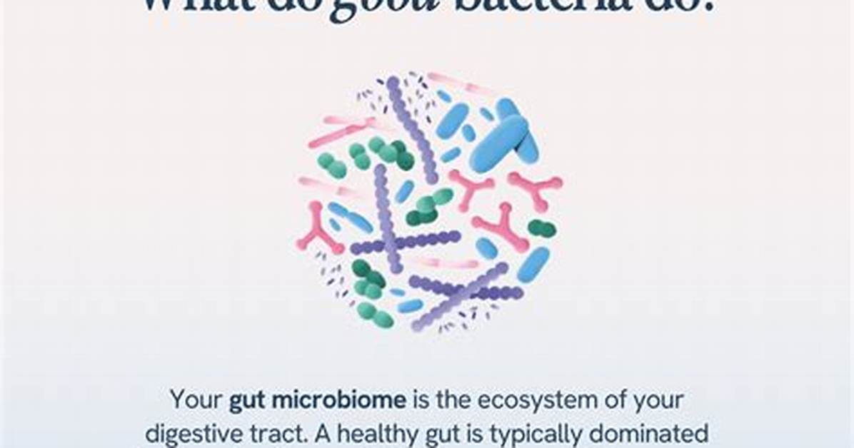 How Do You Increase Good Gut Bacteria