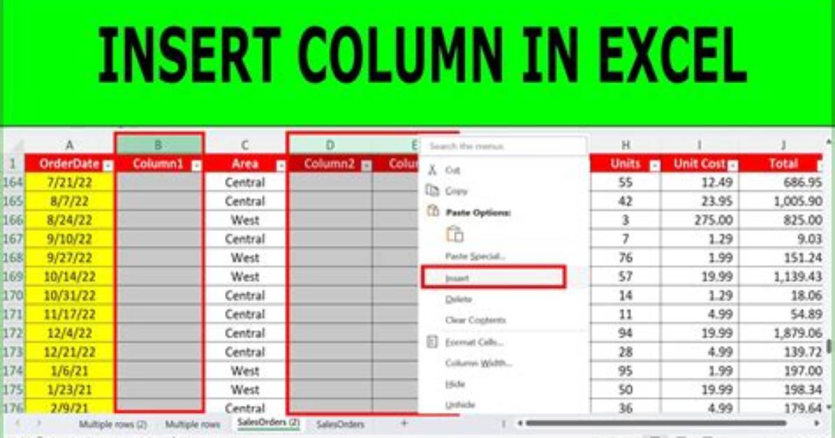How Do You Insert in C