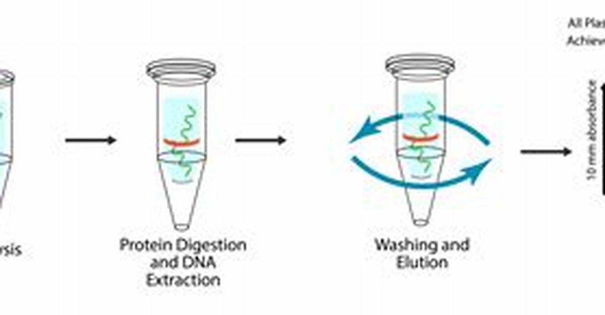 How Do You Isolate Microrna?