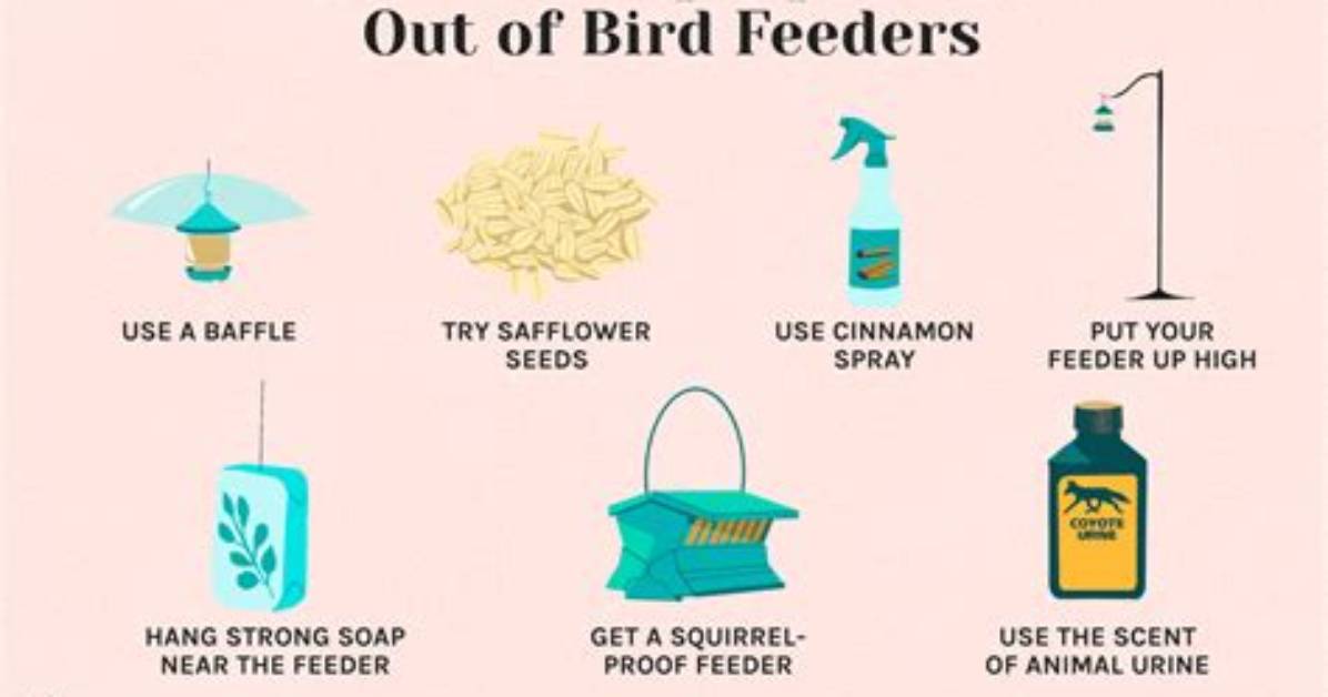 How Do You Keep a Bird Feeder from Swinging