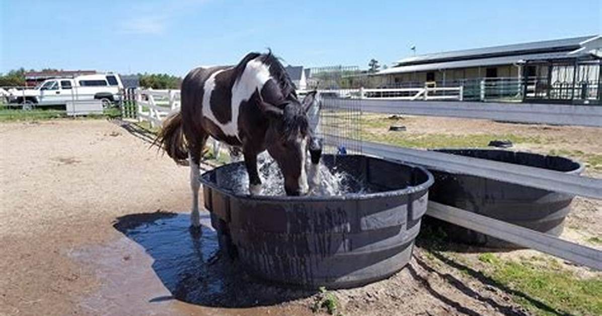 How Do You Keep a Horses Trough from Freezing
