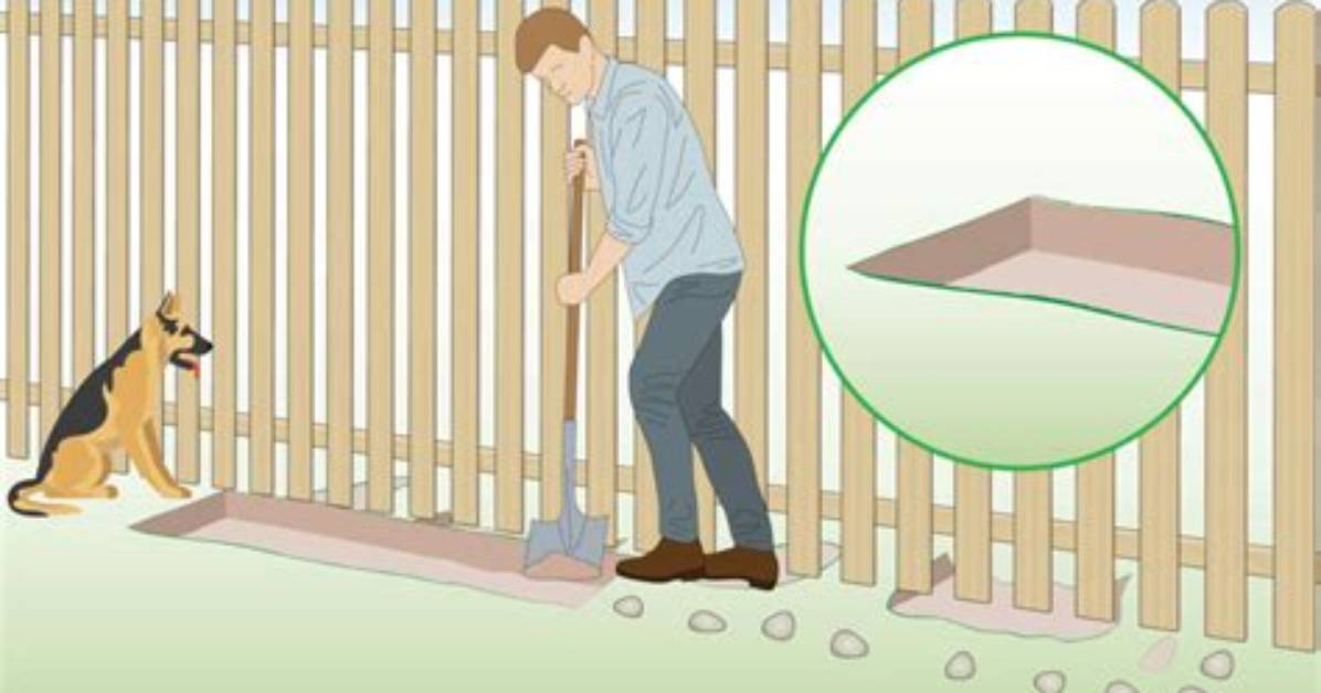 How Do You Keep Animals from Digging up Bulbs