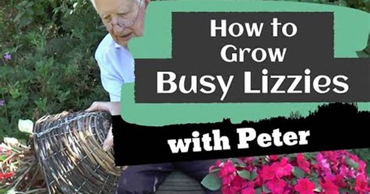 How Do You Keep Busy Lizzies over Winter