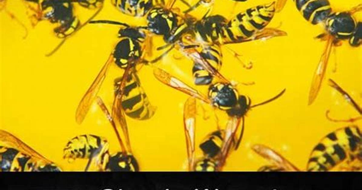 How Do You Keep Hornets Away from Your House?