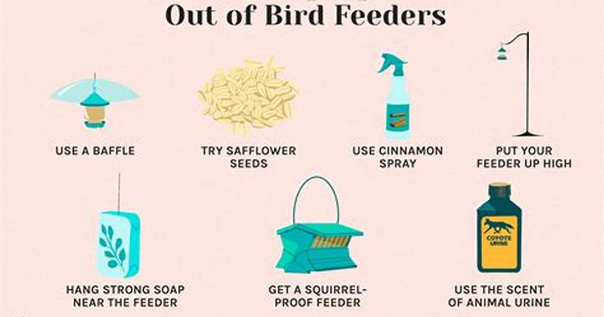 How Do You Keep Squirrels out of Your Bird Feeder with Cayenne Pepper?