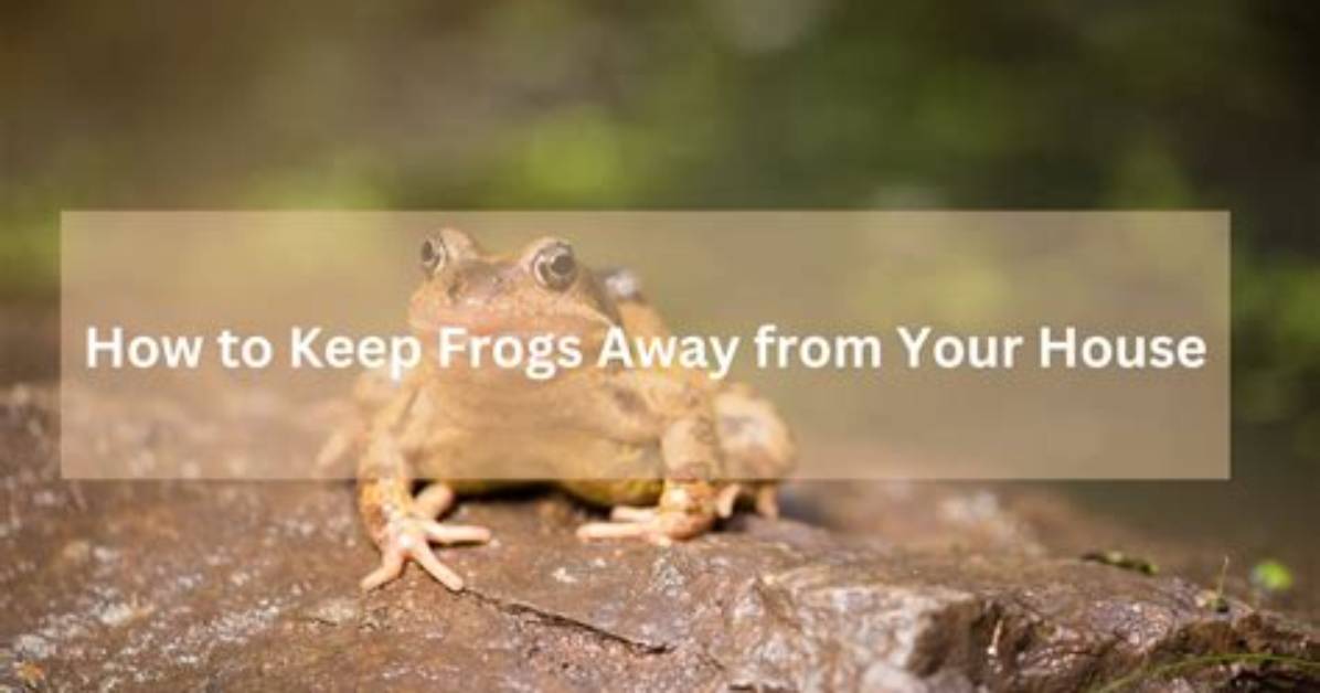 How Do You Keep Tree Frogs Away from Your House