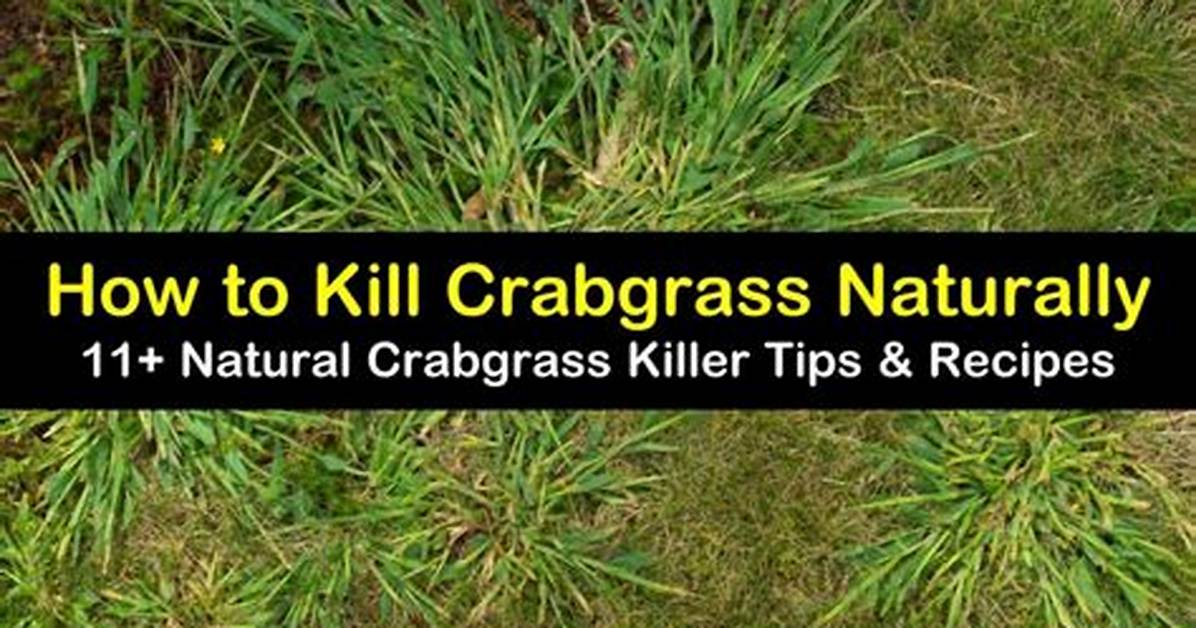 How Do You Kill Crabgrass with Vinegar