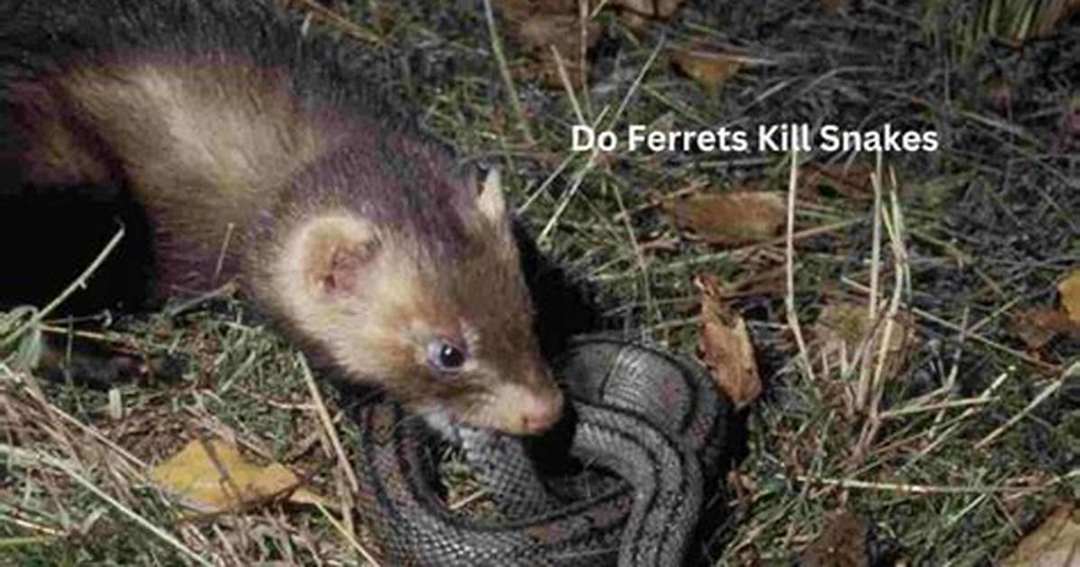 How Do You Kill Snakes