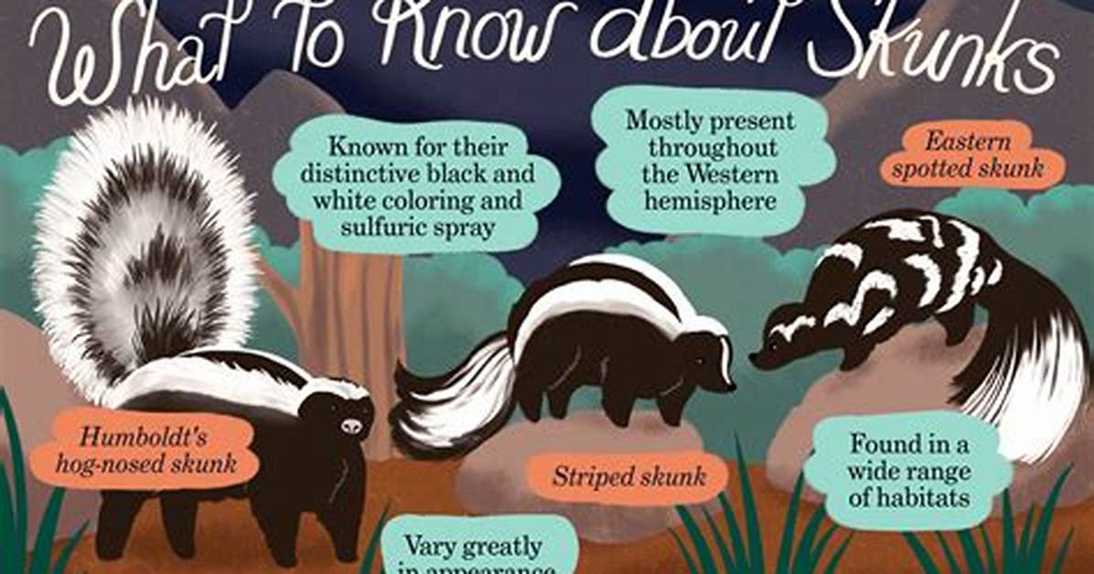 How Do You Know If a Skunk Has Babies