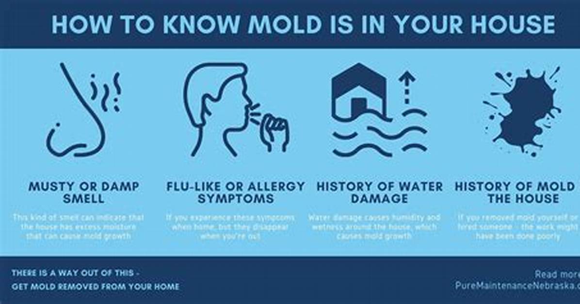 How Do You Know If Mold Is Making You Sick?