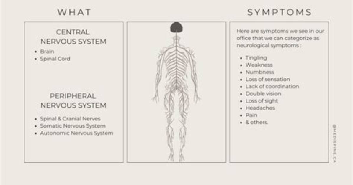 How Do You Know If Your Nervous System Is Damaged?