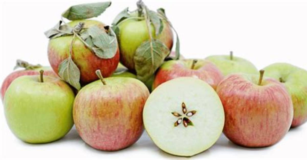 How Do You Know When a Braeburn Apple Is Ripe