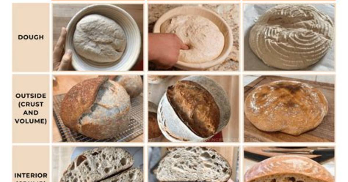 How Do You Know When Bread Dough Is Kneaded Enough