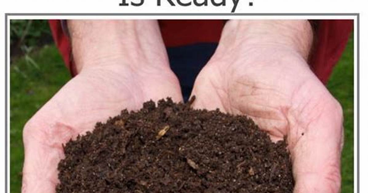 How Do You Know When Compost Is Ready to Use