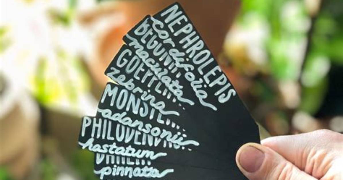 How Do You Label Plants