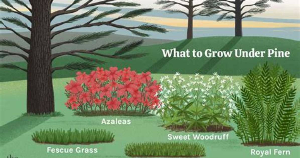 How Do You Landscape Under a Large Tree