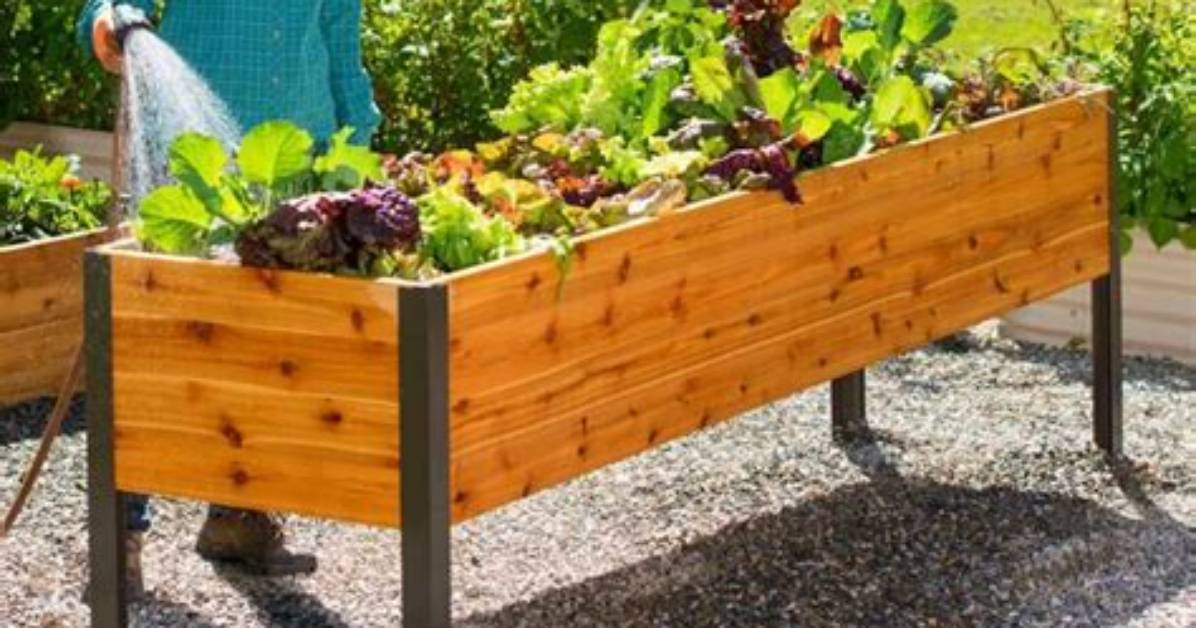 How Do You Line an Elevated Planter Box