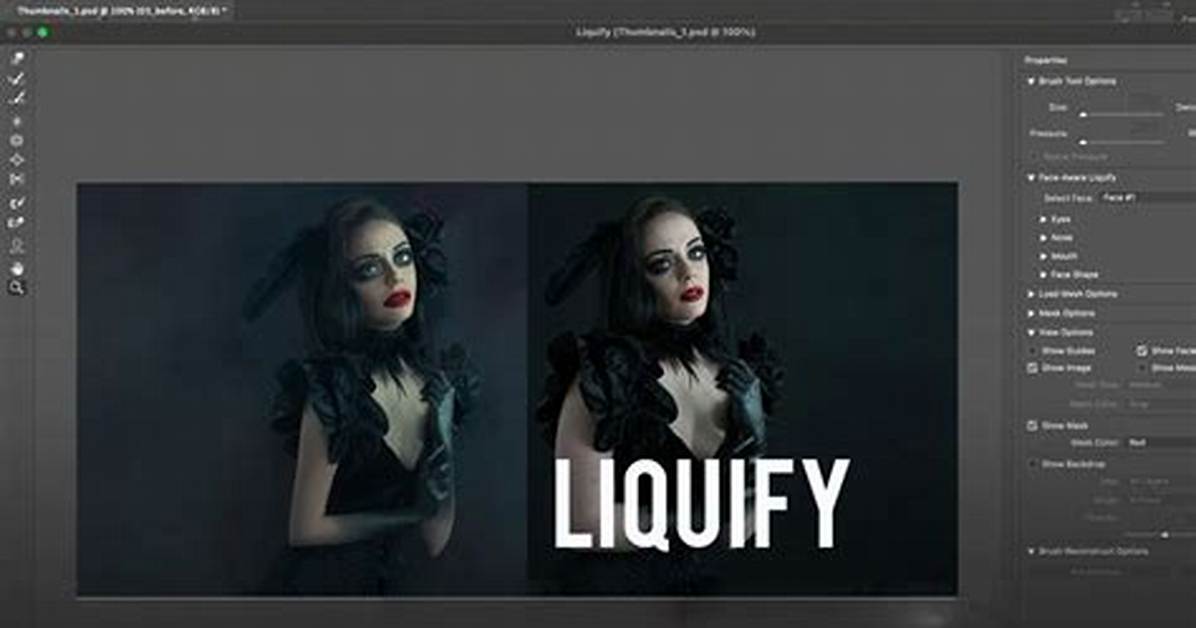 How Do You Liquify in Photoshop Elements?