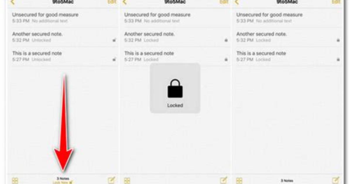How Do You Lock Pictures in Notes?