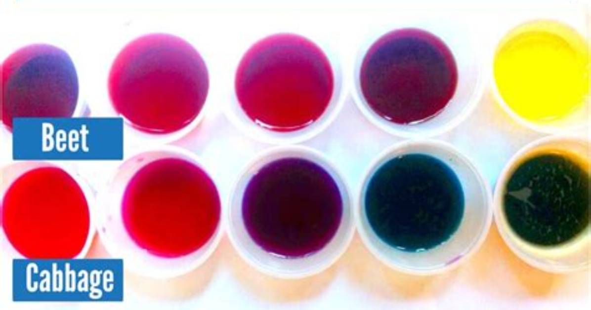How Do You Make a Beetroot Indicator?