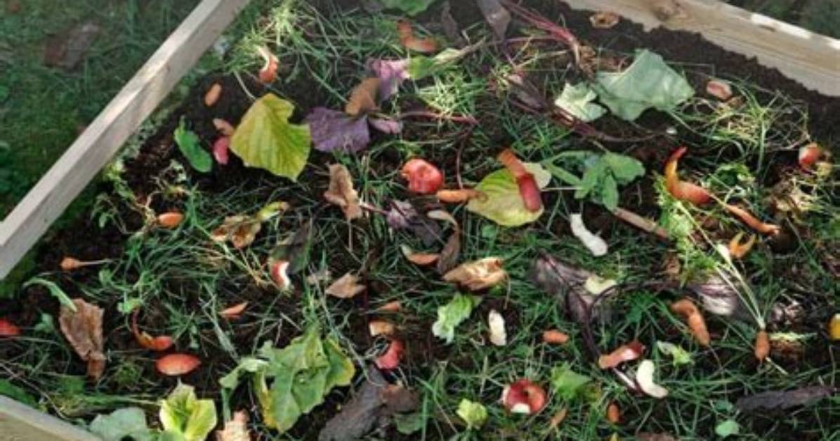 How Do You Make a Concrete Compost Bin