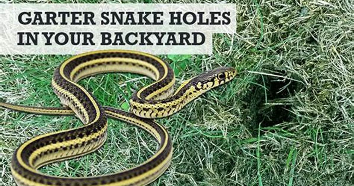 How Do You Make a Garter Snake Trap