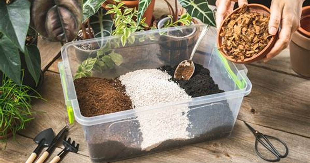 How Do You Make a Soilless Growing Medium