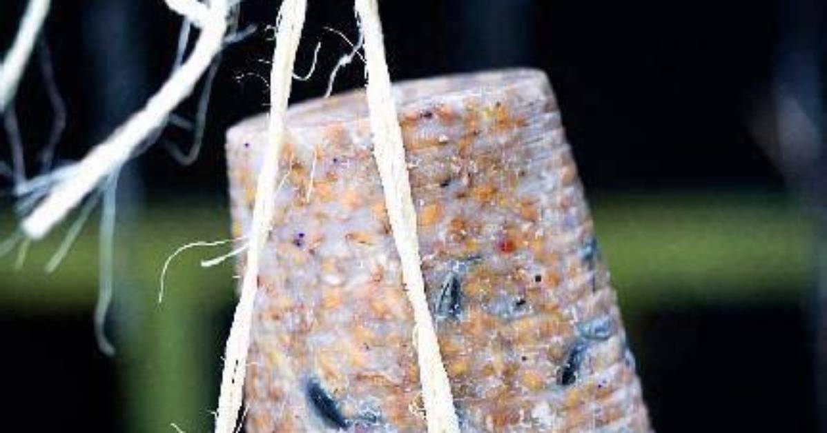How Do You Make a Suet Wreath