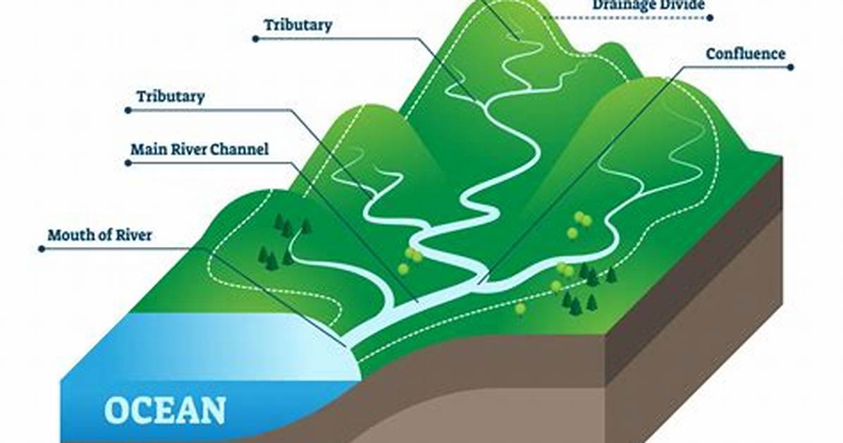 How Do You Make a Water Catchment System