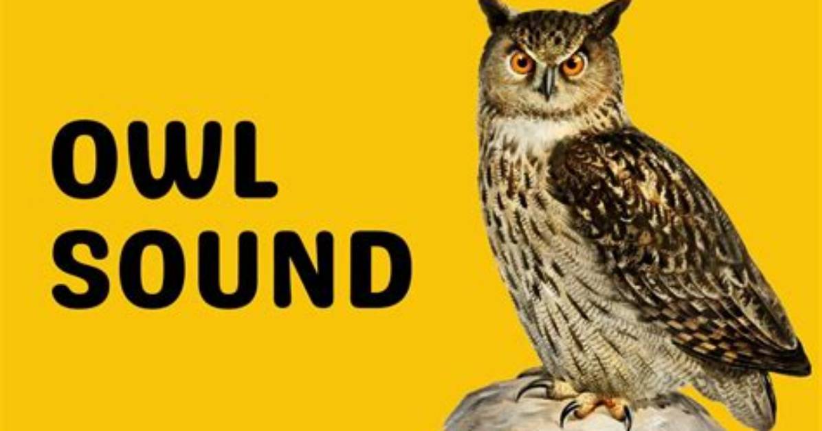 How Do You Make an Owl Call with Your Hands?