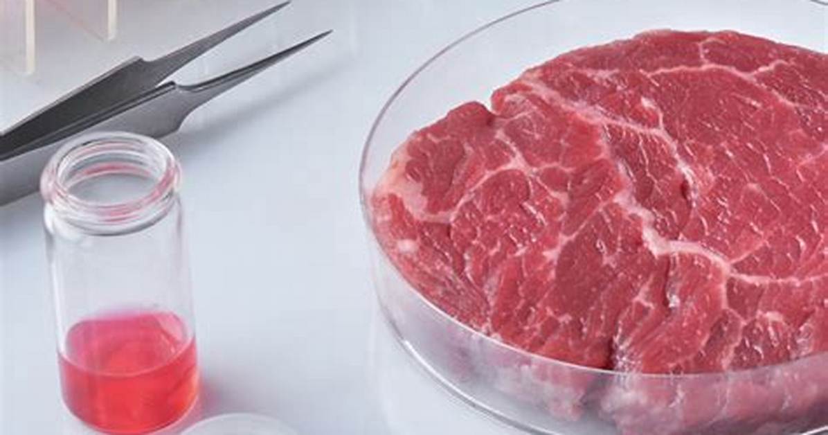 How Do You Make Meat Extract