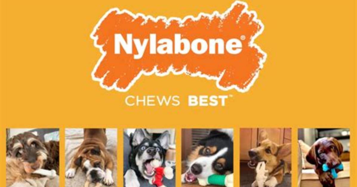 How Do You Make Nylabones More Appealing?