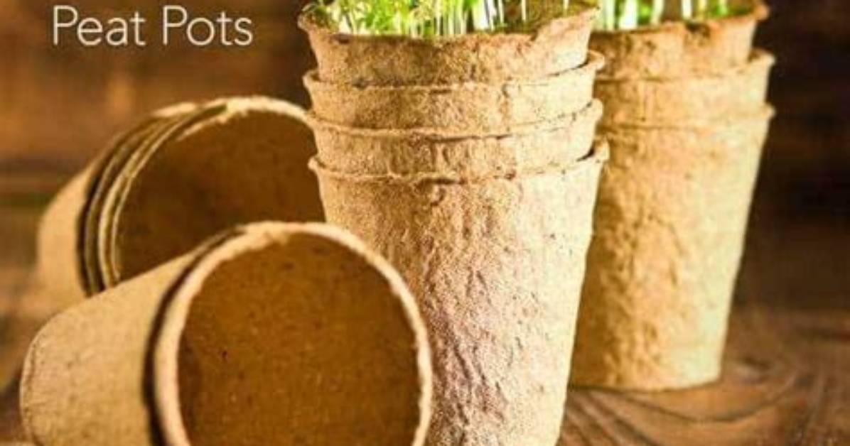 How Do You Make Peat Pots