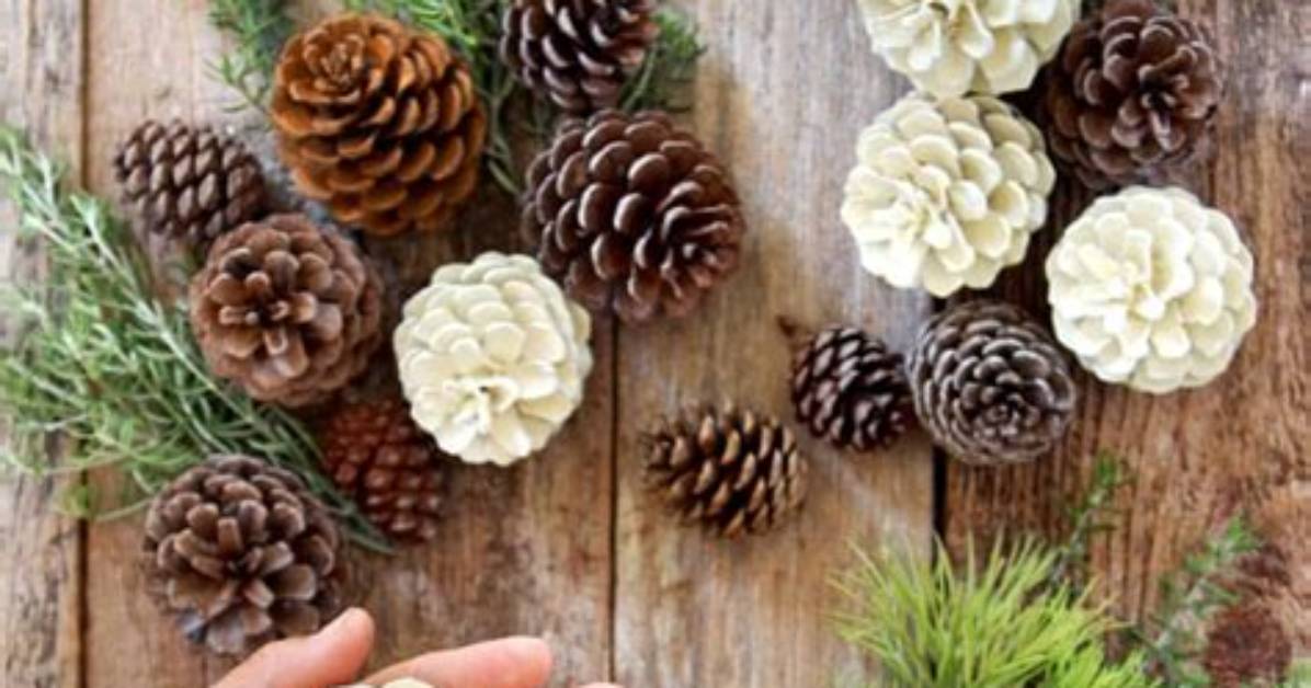 How Do You Make Pine Cones