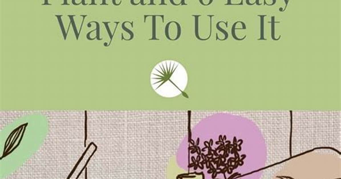 How Do You Make Soapwort Soap