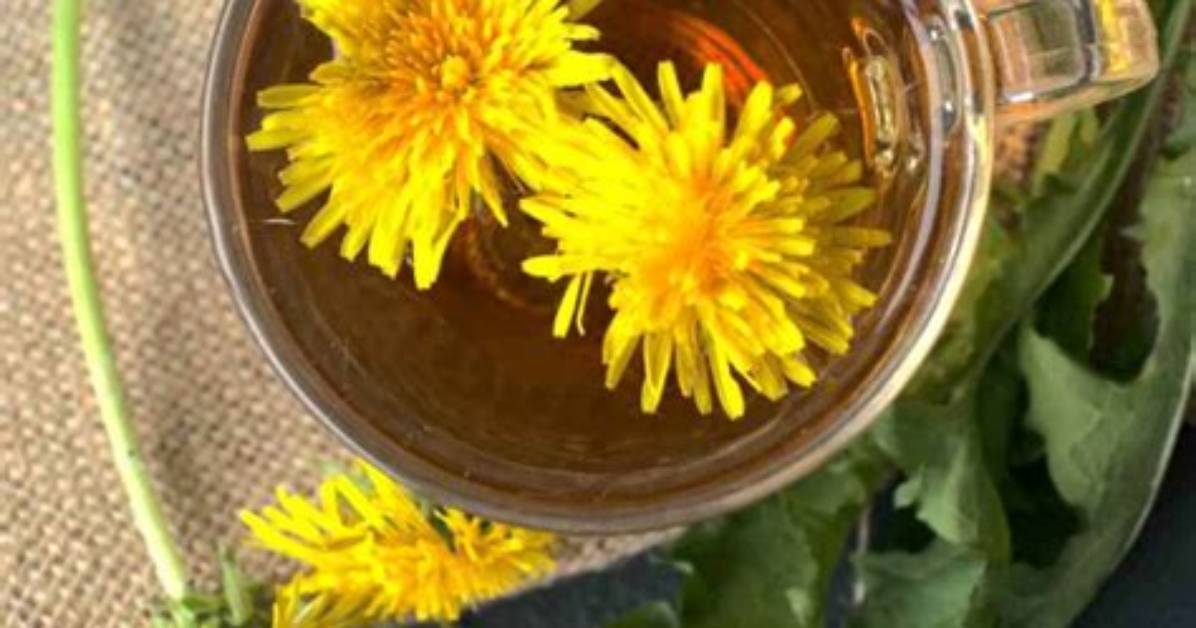 How Do You Make Tea from Flowers?