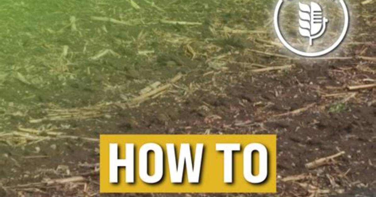 How Do You Measure Soil Compaction