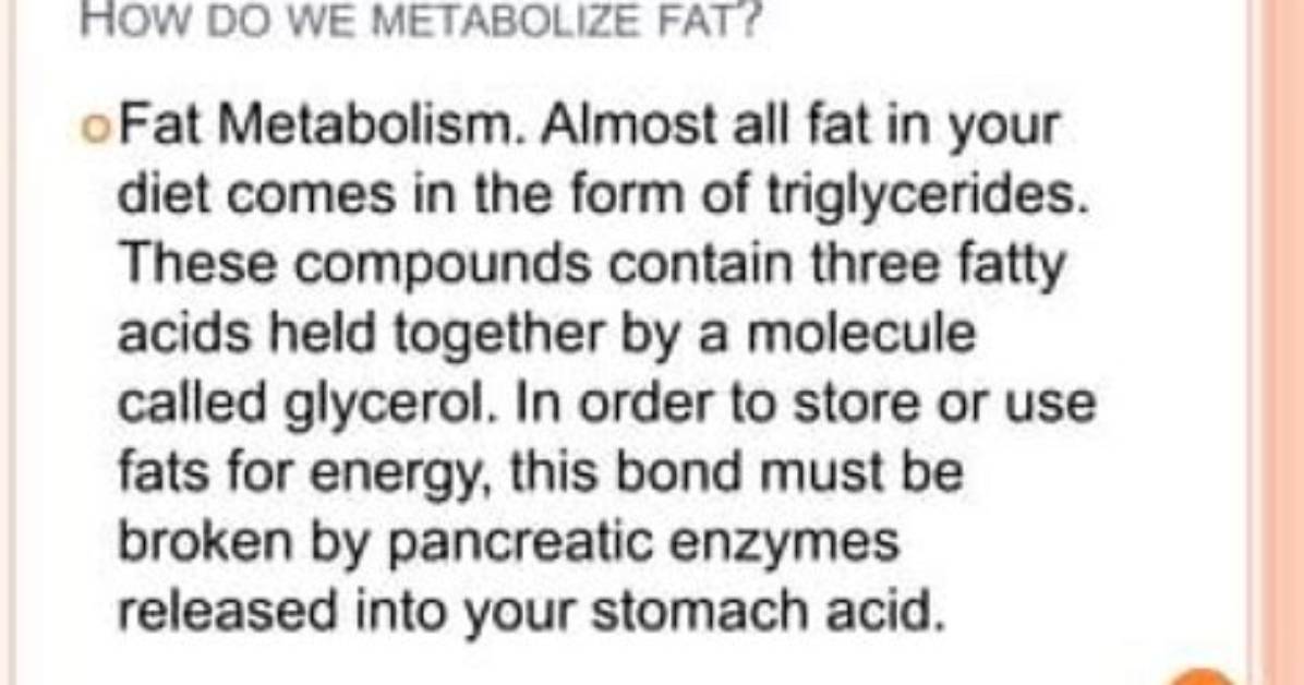 How Do You Metabolize Fat