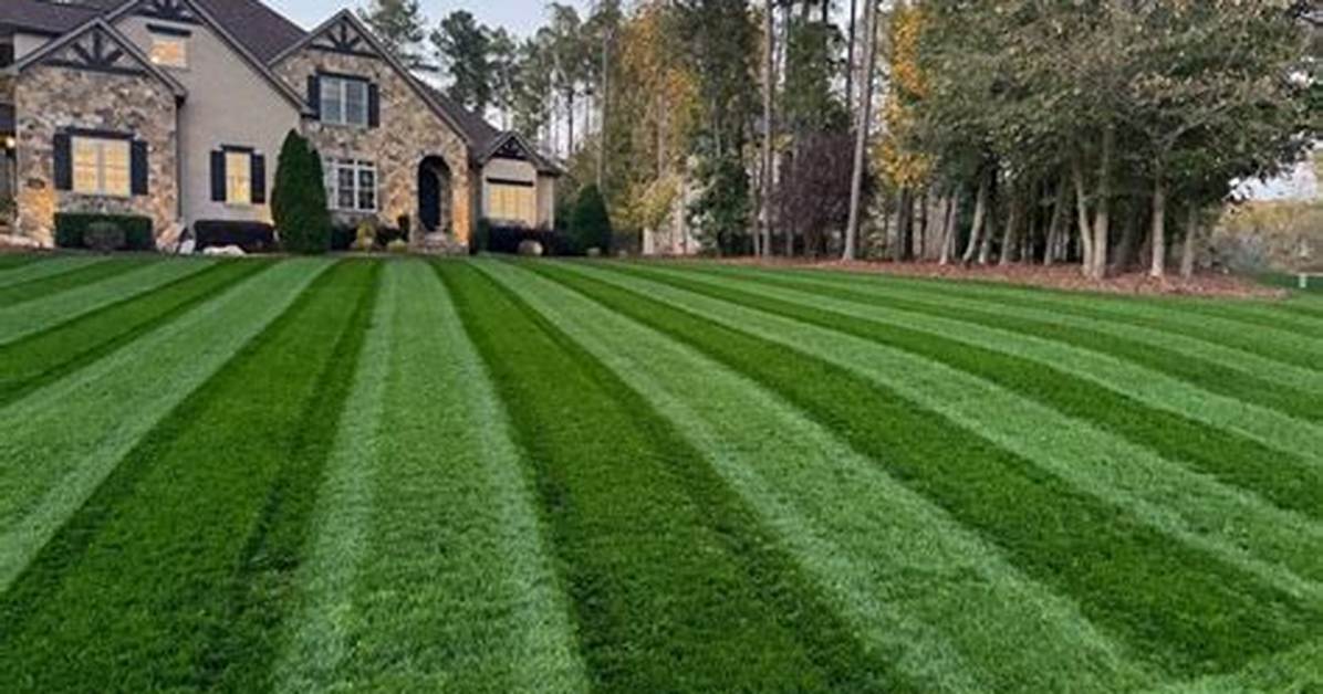 How Do You Mix 24D Grass