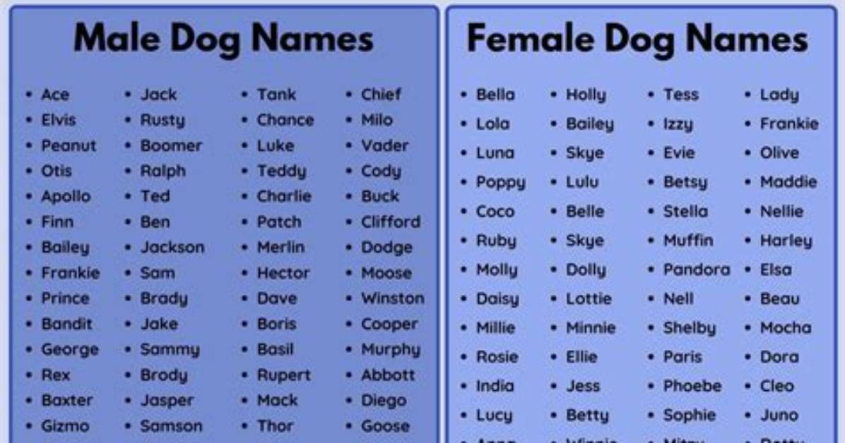 How Do You Name a Dog in Minecraft