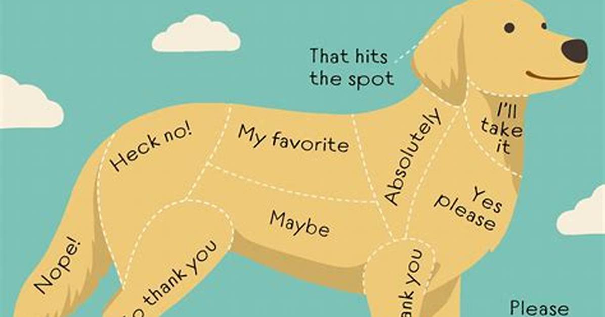 How Do You Pet Your Dog